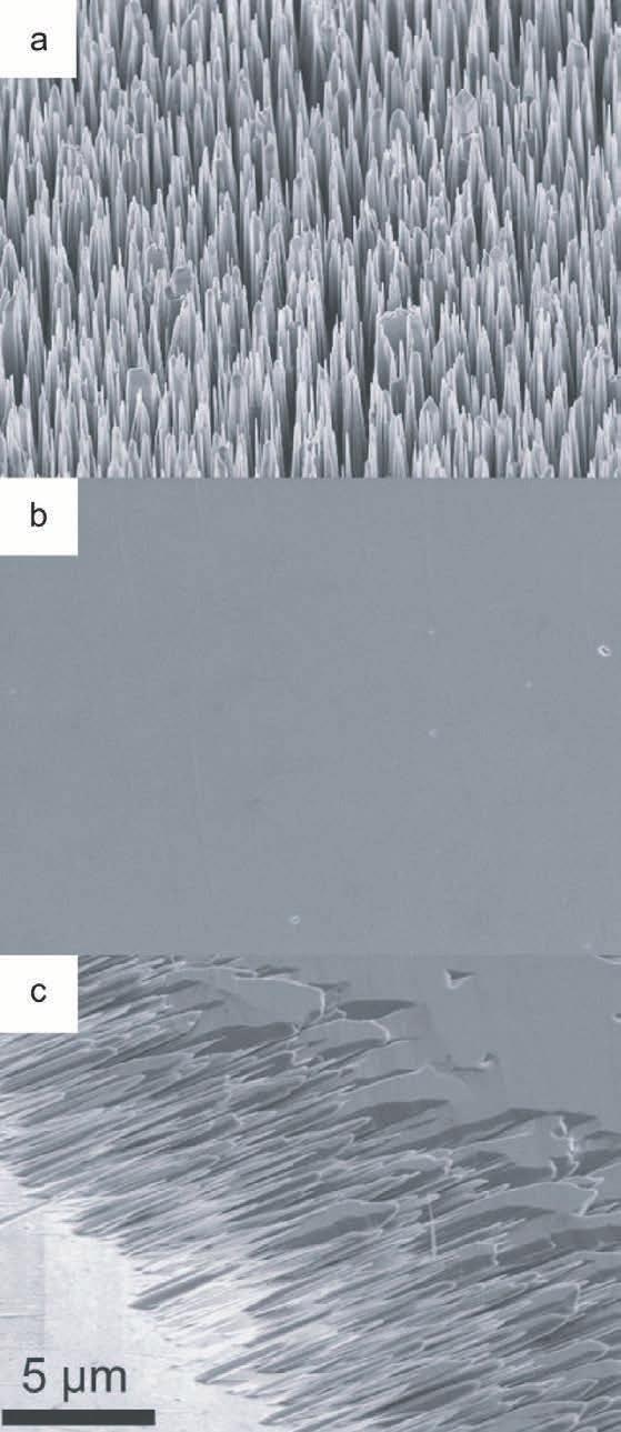 118Technology focus: Nitride LEDs Figure 4. Representative SEM images showing the UCSB/CNU ZnO morphology resulting from identical growth conditions on (a) (0001) and (b) (1011) GaN substrates.