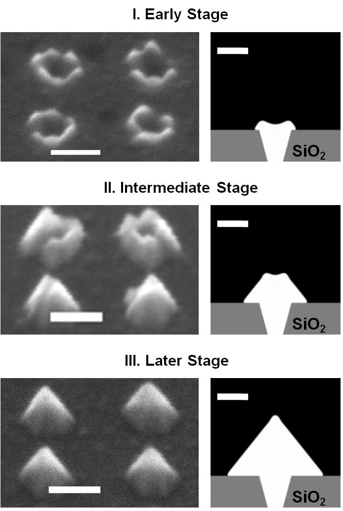 Fig. 2-11 The left column shows the SEM images taken at the different stages of the nanoscale SAE and the right shows the calculated morphology.