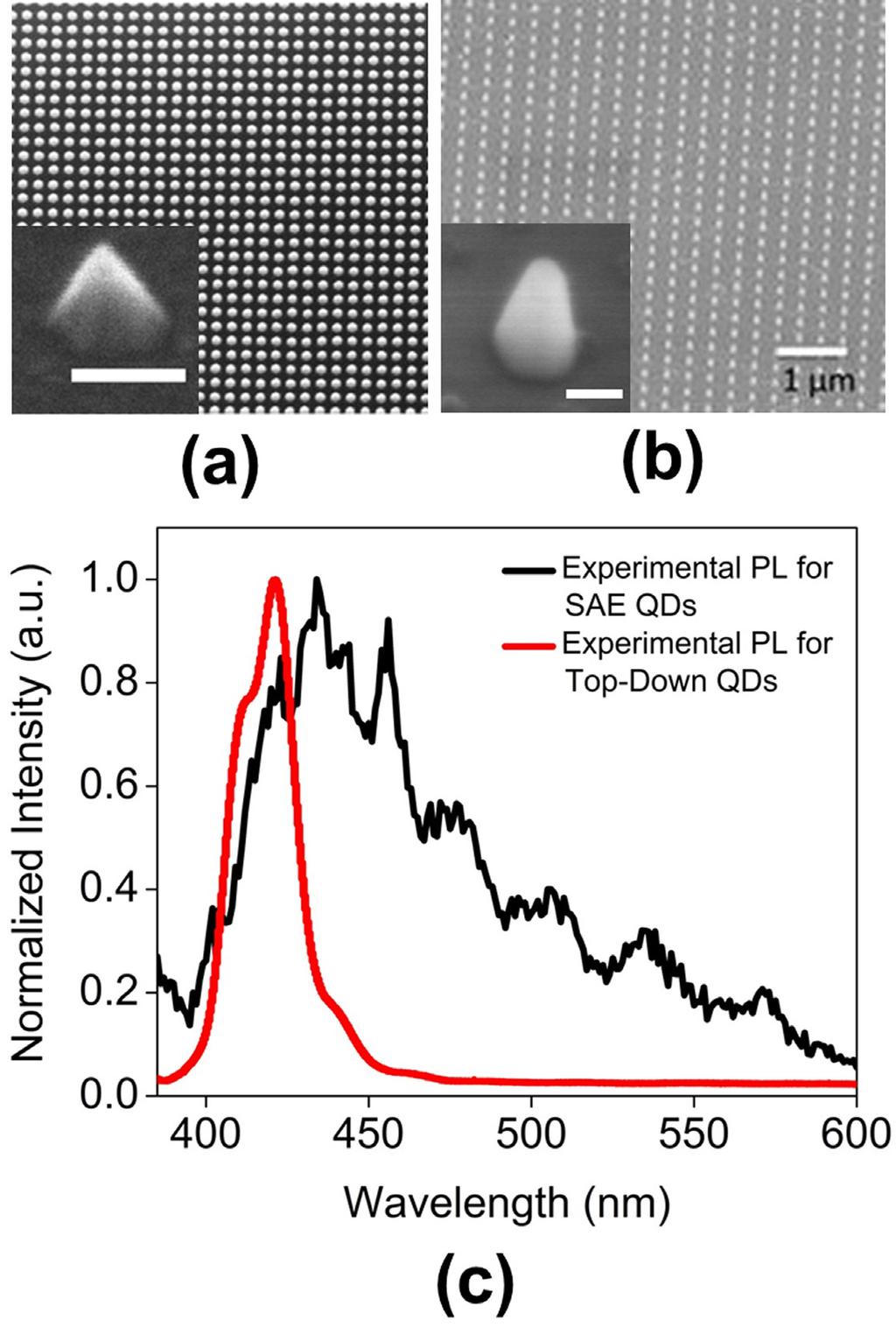 Fig. 4-2 SEM images of the InGaN quantum disk arrays fabricated by (a) nanoscale SAE and by (b) top-down etching.