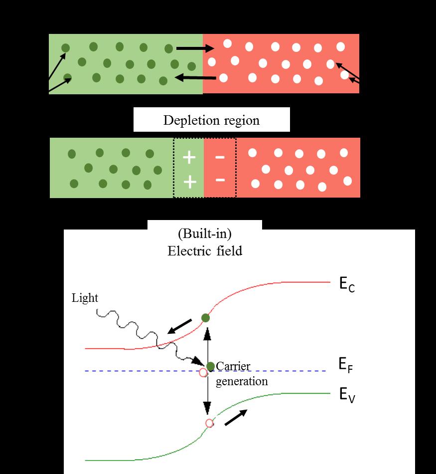 electrons and holes in the depletion region.