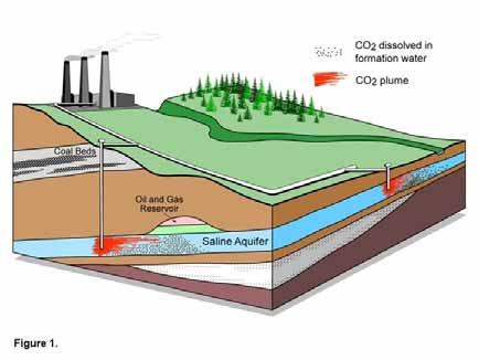 Geologic Storage of CO 2 in Coal Beds Deep unmineable coal beds offer potential for storing CO 2 by adsorbing it on coal surfaces.