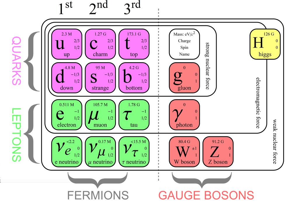 Figure 4: Diagram of Standard Model[21]. force carriers of fundamental interactions.
