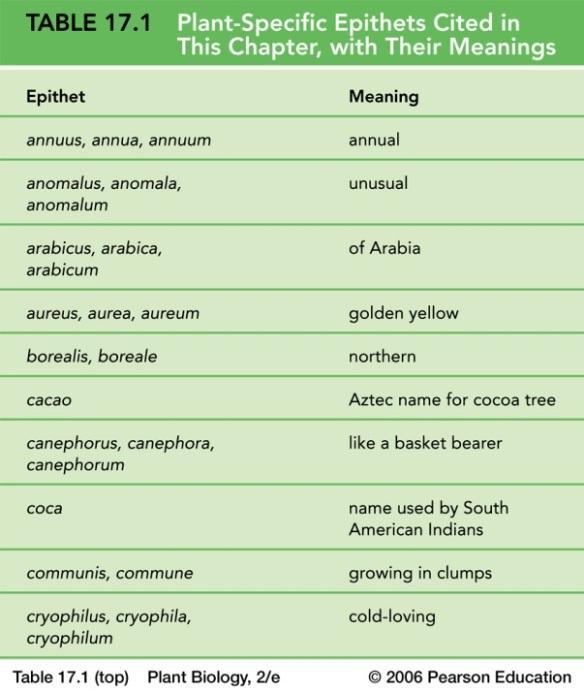 Specific epithet Scientific names are often written with their author or authors. The author(s) are the individual or individuals that have named the plants.