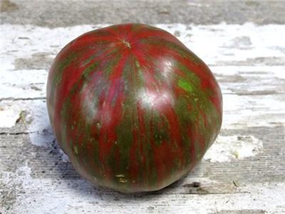 com/pink-berkeley-tie-dye-tomato/ Solanum lycopersicum Cherokee purple