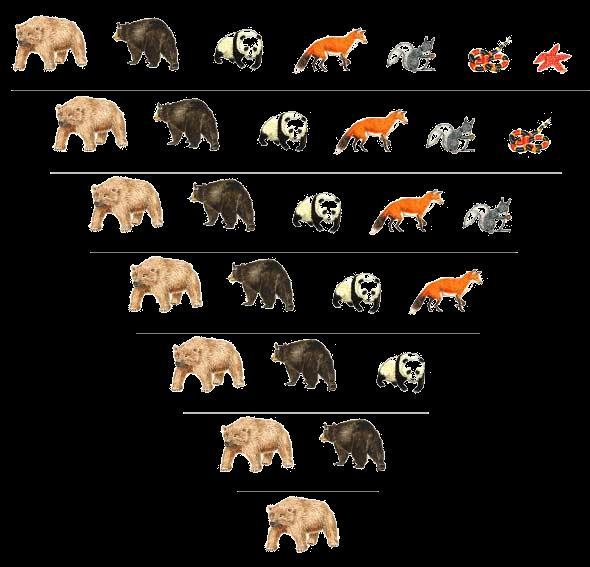 Least Specific (least in common) Section Section 18Lea-118-1 Grizzly bear Black bear Giant panda Red fox Abert squirrel Coral snake Sea star