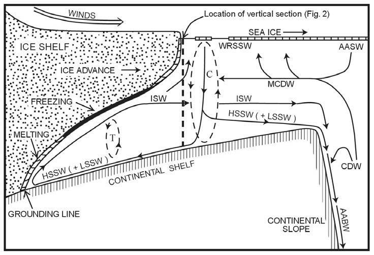 Figure 12: Schematic diagram of ocean ice shelf interaction: circulation and water mass formation in a vertical plane perpendicular to the Ross Ice Shelf front.