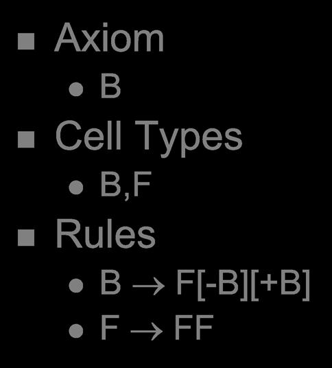 Axiom B Cell Types B,F Rules B F[-B][+B] F FF