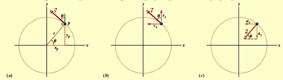 Uniform Circular Motion yp x p v v i v j r r dv v dy p dx v p v v a i j cos i sin j dt r dt r dt r r v v a ax ay cos sin r r Direction of acceleration: along radius of circle towards centre a v sin y