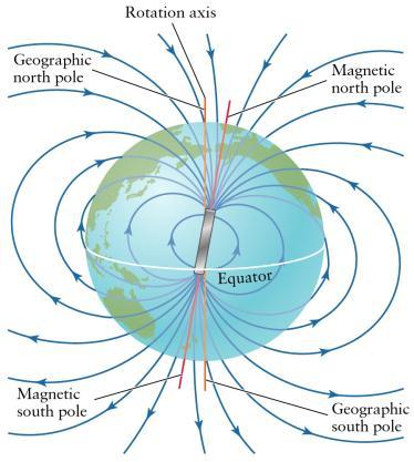 A Magnetic Poles CHECK YOUR EIGHBOR B Magnetic Fields Produced by two kinds of electron motion Electron orbits Electron spin main contributor to magnetism pair of electrons spinning in opposite