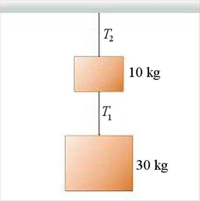 com/threads/direction-of-tension-force.806174/ Example 4.3.3 What are the tensions of each of the two strings in the situation shown in the figure?
