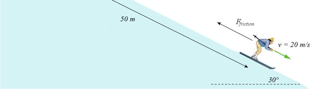 According to what is shown in the figure, what is the magnitude of the friction force if Wolfgang s mass is 70 kg?