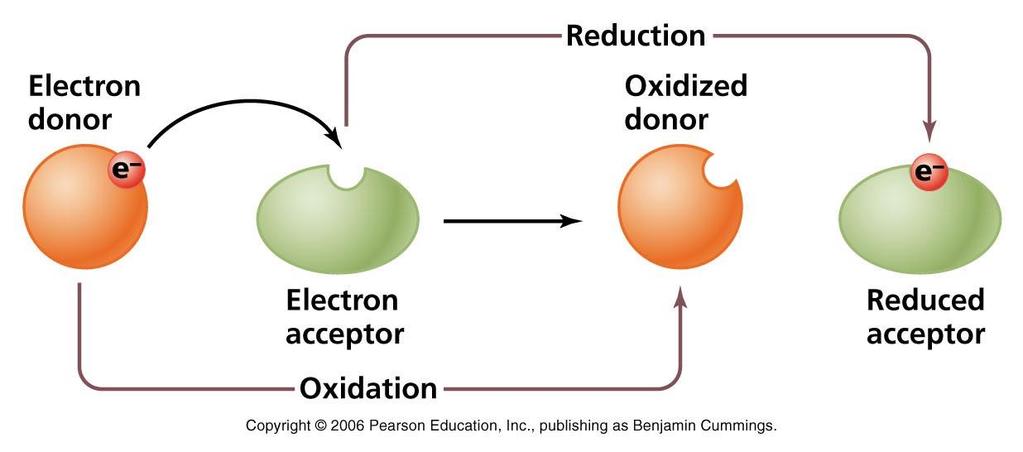 Oxidation vs.