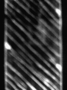 234 D.T.G. Katerelos et al. / Composites Science and Technology 68 (2008) 230 237 of observation. The cracks develop within the h lamina following the fibres direction.