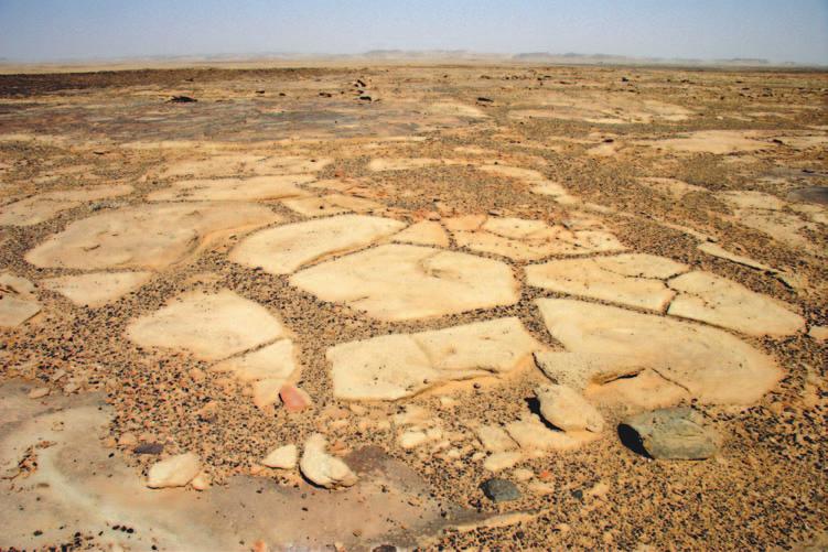Geomorphology 125 Figure 6.6 Fossil periglacial patterned ground exhumed in the Sarah Formation south-west of Tayma (Photo: author).