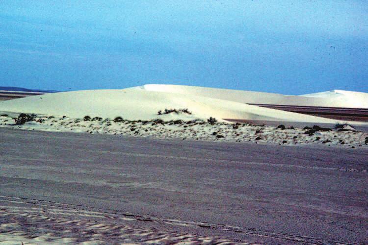 138 Saudi Arabia: An Environmental Overview Figure 6.16 Barchan dunes sweeping across the gravel plains west of Dhahran (Photo: author). 6.9.2.