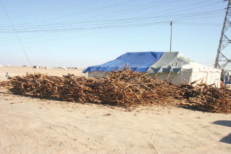 258 Saudi Arabia: An Environmental Overview Figure 10.1 Sale of wood used for picnic fires during the hajj holidays (Photo: author). E. Shortage of forestry specialists The number of forestry specialists is considered very low relative to the number of Government initiatives.