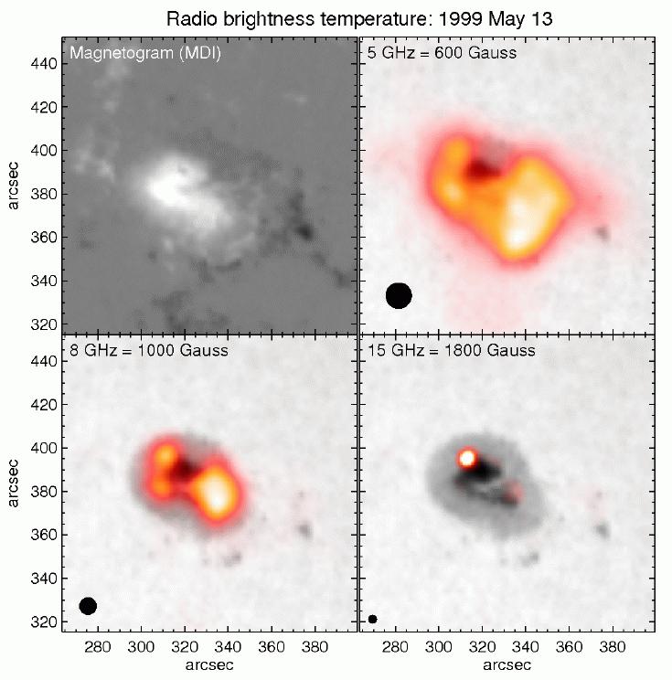 Radio Emission from Coronal Magnetic Fields Radio images of the region show relatively