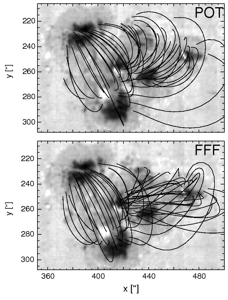 Coronal Magnetic Fieldlines Region showing strong shear: magnetic connectivity
