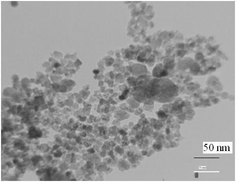 Nanomed. ntimicrobial J., 4(): Effect 5-54, of Winter ZnO:Ag27 Table.
