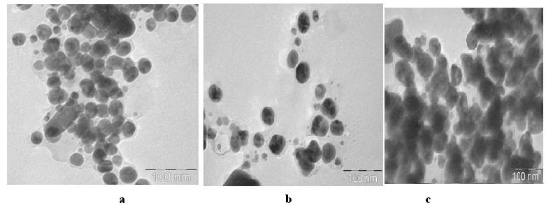 Antimicrobial assay Figure 5: TEM images of Ag nanoparticles (a) 1 % (b) 3% (c) 5% Antimicrobial assay of biosynthesized silver nanoparticles was examined against a gram negative E.