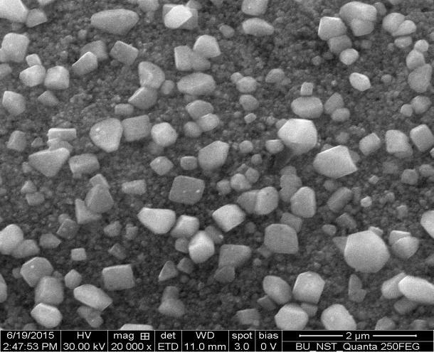 Fig. 4 and Fig. 5: SEM analysis of silver nanoparticles produced by E. crassipes showing polymorphism and agglomeration.
