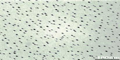 the as-synthesized silver nanoparticles to confirm the results of XRD and TEM results.