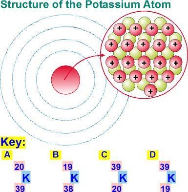Q.4. The diagram shows part of the structure of the potassium atom. The nucleus has been enlarged. The diagram also shows a key of four possible representations for the atom, labelled A to D.