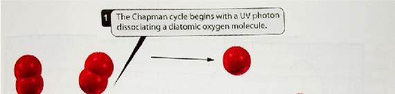 The Chapman Cycle the natural creation of ozone in the Stratosphere