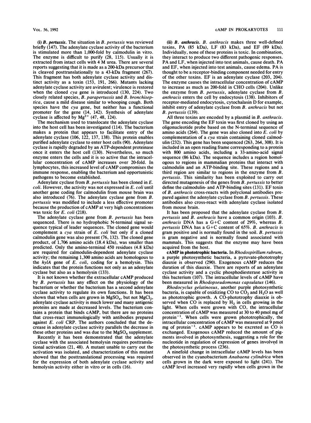 VOL. 56, 1992 (i) B. pertussis. The situation in B. pertussis was reviewed briefly (147). The adenylate cyclase activity of the bacterium is stimulated more than 1,000-fold by calmodulin in vitro.