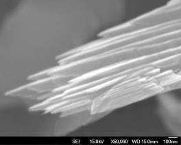 However, nnotrees re composed of thinner, stcked formtions tht hd individul nnolef thicknesses of less thn 2 nm