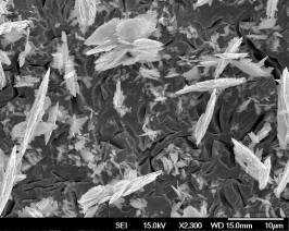 The conventionl Mg thin films deposited t norml incidence were out 1 µm in thickness (not shown).