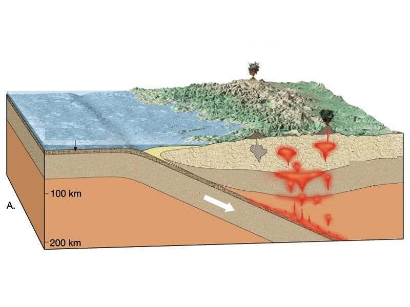 Convergent Boundary Ocean to Continent Convergence Volcanic Mountain Arc Subduction Zone Trench Upwelling Oceanic Crust