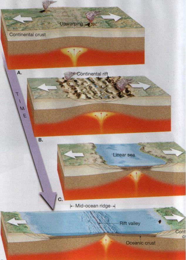 Model does not require the Earth to shrink or expand in size. Earth s size can remain constant, because there are processes that simultaneously form and destroy crust (lithospheric plates).
