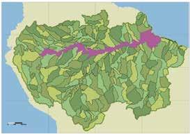 Basin Level 1 (BL1): Regional Basins This level divides the working area into 3 drainage polygons: one large polygon containing the Amazon and Tocantins river basins; and two smaller ones containing