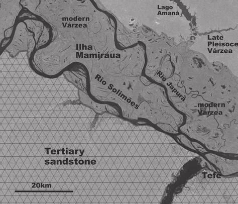 2 Development of the Amazon Valley During the Middle to Late Quaternary 35 Fig 2.6 Radar map of the Lago Amanã area showing the palaeo-várzea and the recent várzea of Ilha Mamirauá, near Tefé.
