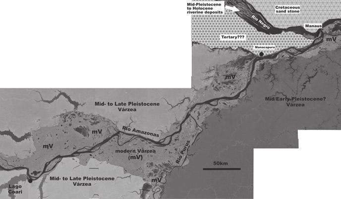 (Inpa/MPI-Plön/Senckenberg-Inst.) it can be concluded that there are at least two generations of palaeo-várzea along the banks of Lago Amanã Fig. 2.7 The Amazon valley between Lago Coari and Manaus.