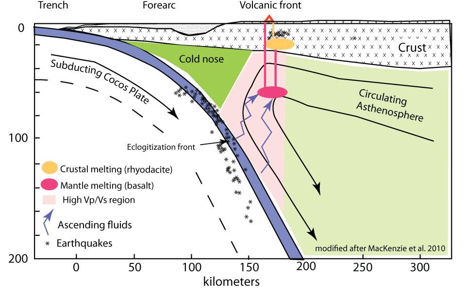 Subducted slab chills shallow mantle beneath forearc and draws in hot asthenosphere at greater depth (induced