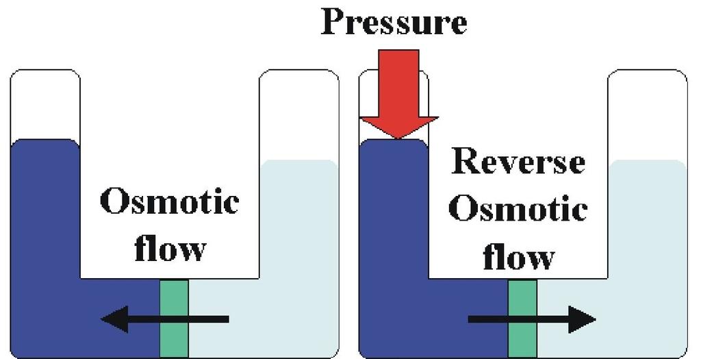 Reverse osmosis is