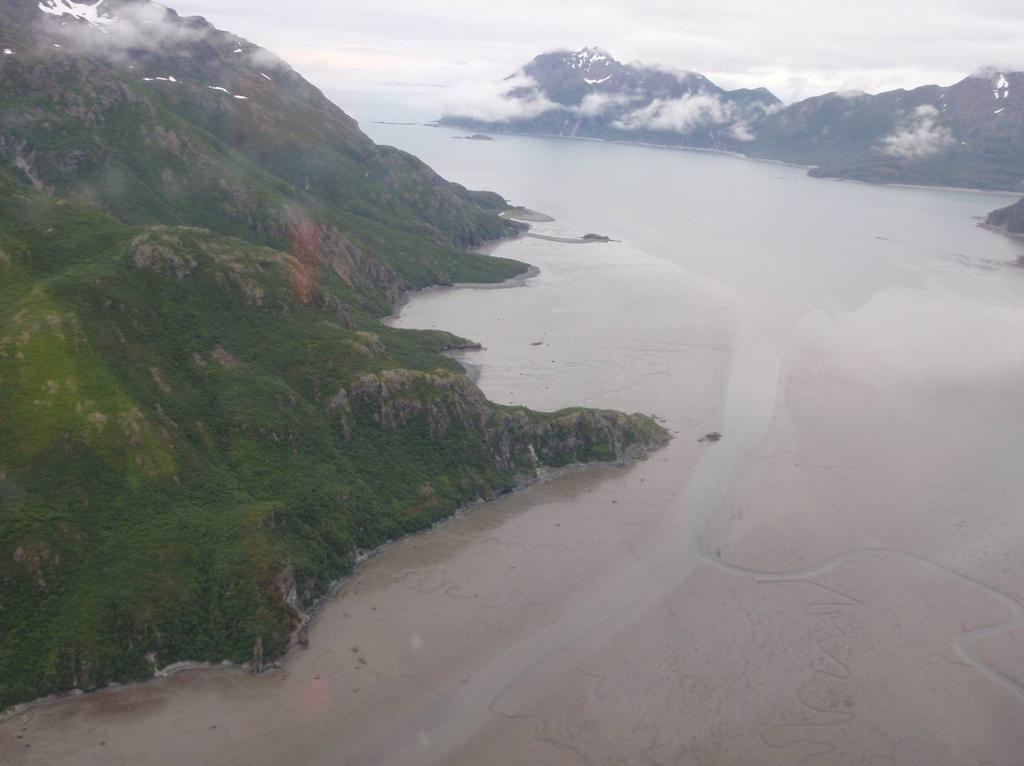 PHYSIOGRAPHY COOK INLET REGION Tidal Flats PHOTO 28-8: View to