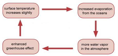 Which of the diagrams is showing a negative feedback mechanism? C. D.