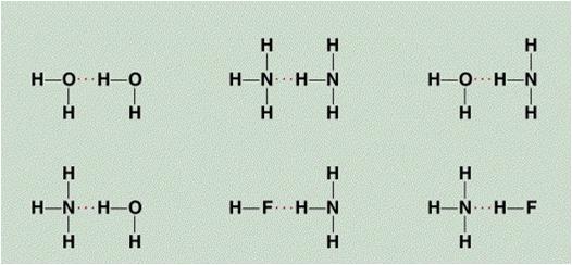 Hydrogen Bond Intermolecular Forces The hydrogen bond is a special dipole dipole interaction between they hydrogen