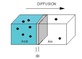 Kinetic Properties Diffusion According to Fick's first law, the amount of substance diffusing per unit time (, ), across a plane of area,, isdirectly proportional to the change in concentration,,