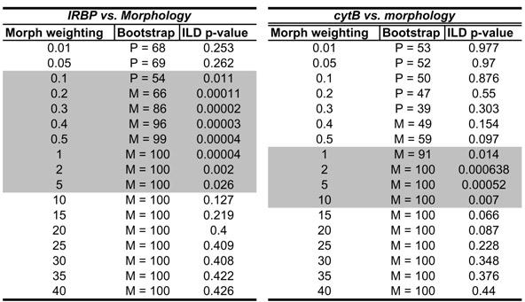 2004 POINTS OF VIEW 83 TABLE 1. Analysis of Yoder et al. s (2001) reduced (nine-taxon) data set under a range of relative morphological data partition weights.