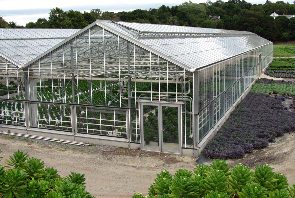 GREENHOUSE for GREENHOUSES Why are Mycorrhizae Important? Mycorrhizal fungi are essential to living soils, and allowed plants to colonize the surface of our planet around 450 million years ago.