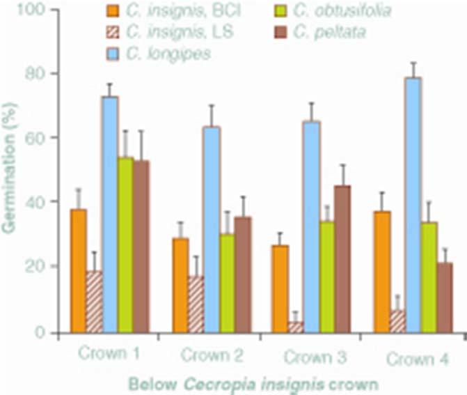 FIGURE 10-5 (a) Survival, (b) height, and (c) number of leaves across treatments for Dicymbe corymbosa seedlings after one year.