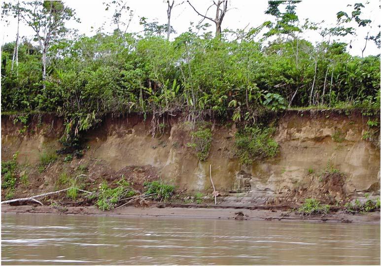 PLATE 10-17 This photo shows sediment deposit on an island along the Amazon River