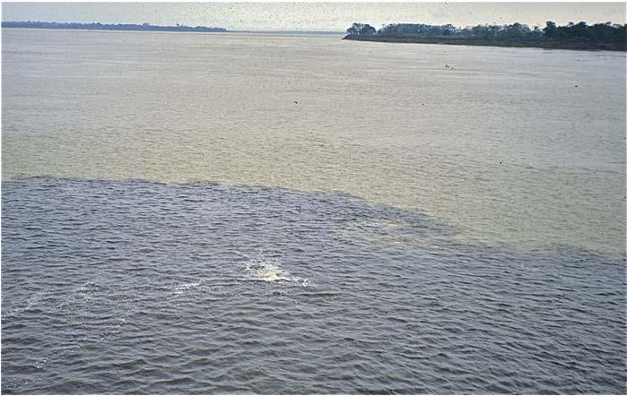 Rio Negro. This confluence occurs near Manaus, Brazil.