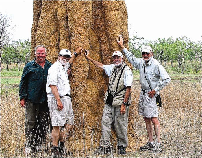 (a) (b) PLATE 10-6 (a) Large termite mounds such as this are common throughout much of the