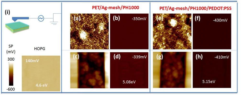 Supplementary Figure 1. The AFM height and SKPM images of PET/Ag-mesh/PH1000 and PET/Ag-mesh/PH1000/PEDOT:PSS substrates. (a, e) AFM height images on the flat PET area.