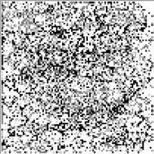 Cellular Automata 301 this which calculates the proportion of foreigners in the neighborhood radius 5. It is worth 1 if it is in the interval (70% 100%) and if not sends back 0).